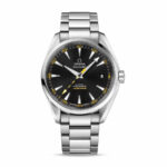 Omega Seamaster Aqua Terra Co-Axial Master Chronometer 231.10.42.21.01.002 Authentic Clone 1:1